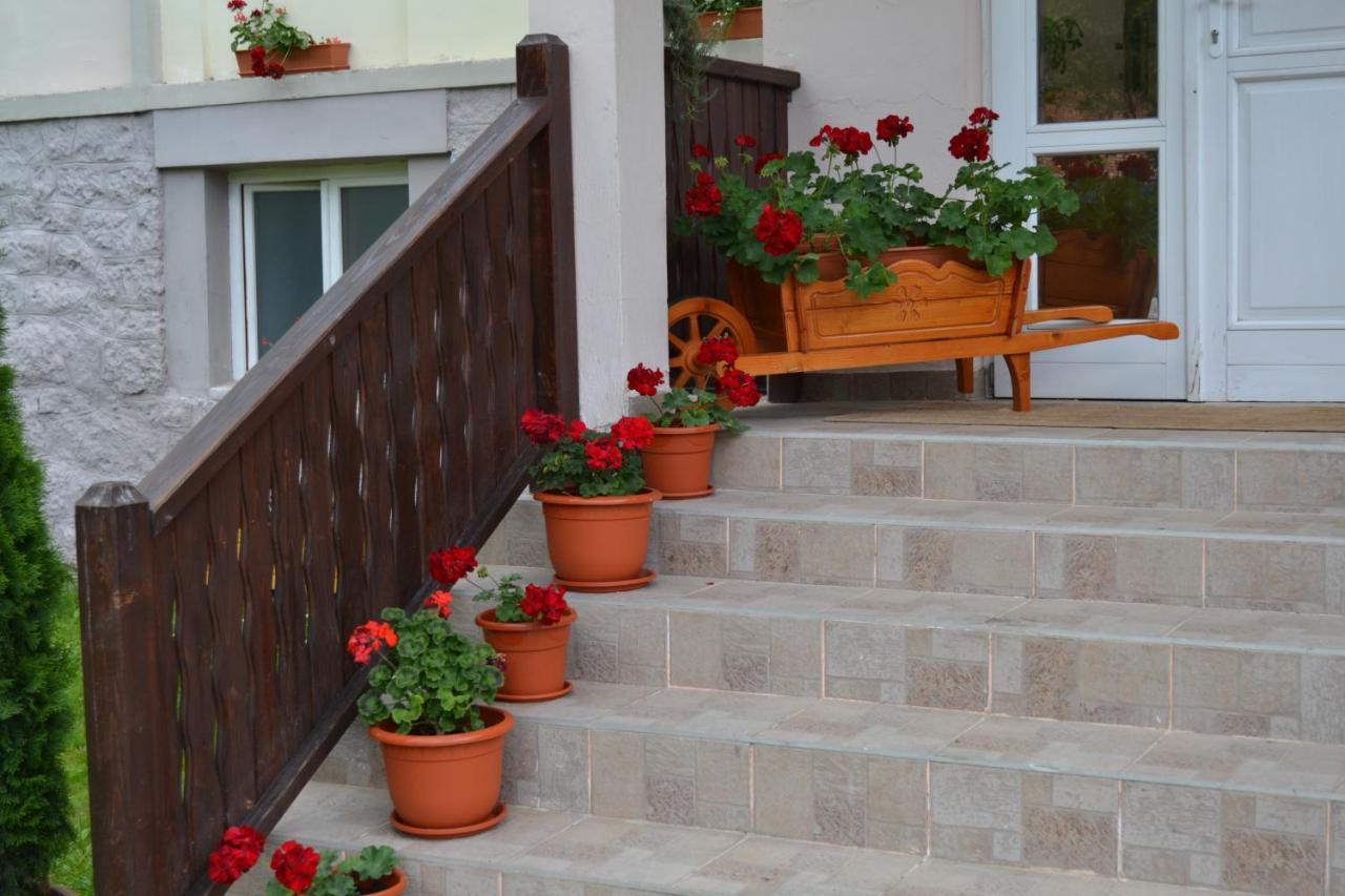 Pension Rose-Trandafirul Borsec Exterior foto